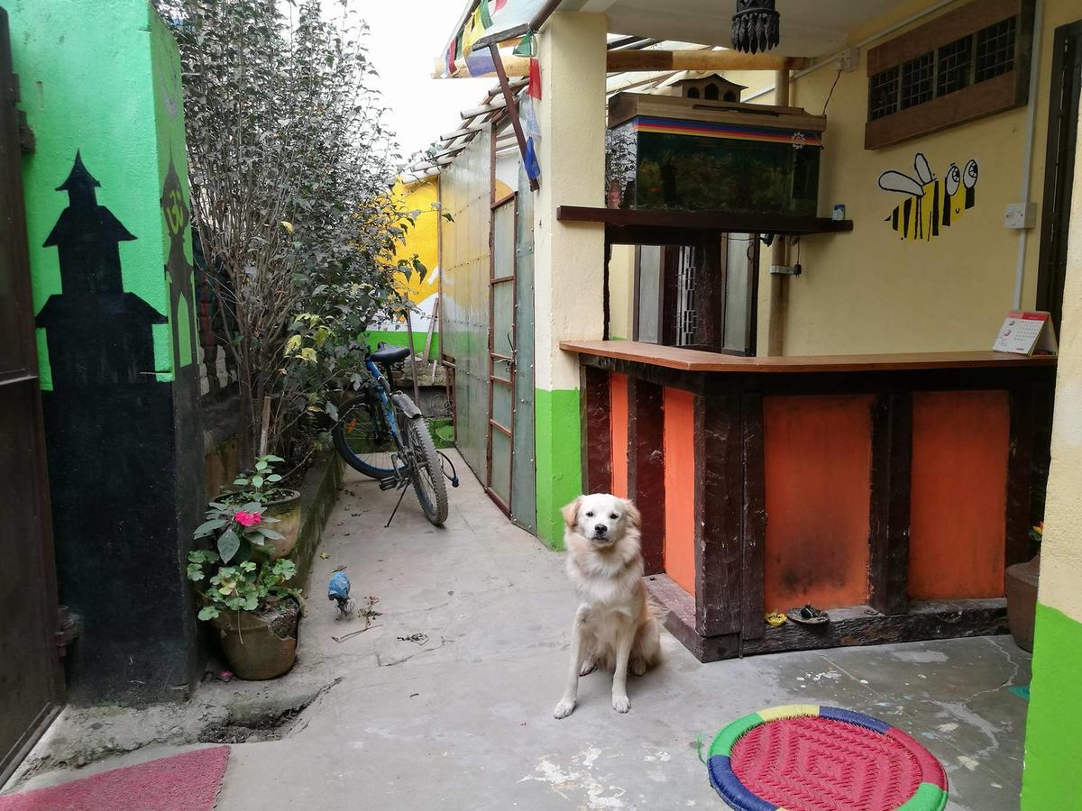The Nepali Hive Catmandu Exterior foto