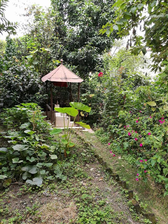 The Nepali Hive Catmandu Exterior foto